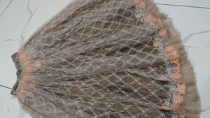 Elegant Lehenga Choli Set