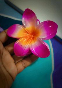 Colorful Flower Hair Clips Set Of 2