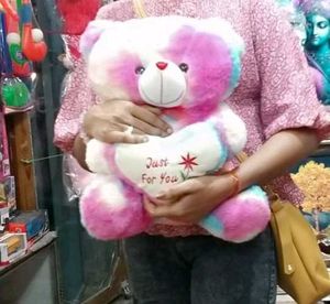 Colorful Teddy Bear 🧸❤️