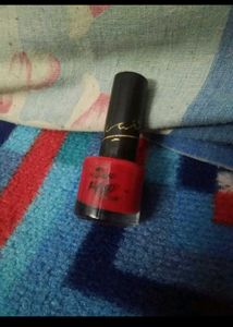 Beautiful Nail Paints ✨