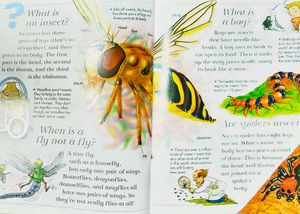 Spiders Spin Webs/ I Wonder Why Children Book