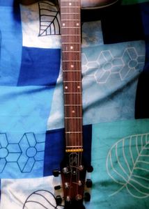 Brand New Signature Guitar