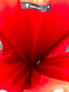 Van Heusen Red Dress