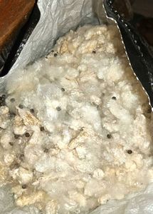 shimmer cotton(2kg)