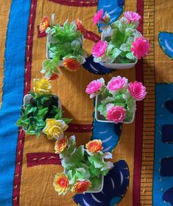 5 Plants