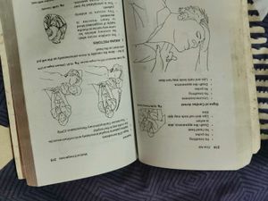 Manual of First Aid by I.C. Gupta