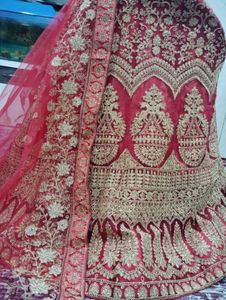Gorgeous Lehenga Choli
