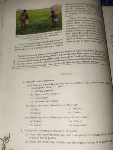 Class 10 Textbooks 📚
