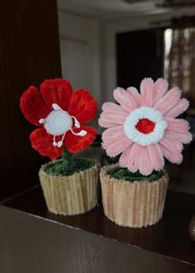 Handmade Pipe Cleaner Flowerpots  Craft