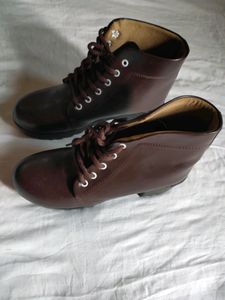 ZAPATOZ Women Brown Solid Heeled Boots