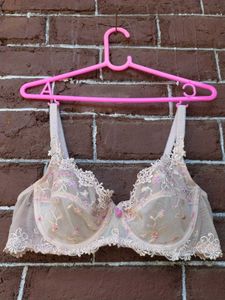 Sheer nude lace bra.