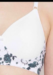 Clovia Lightly Padded Bra