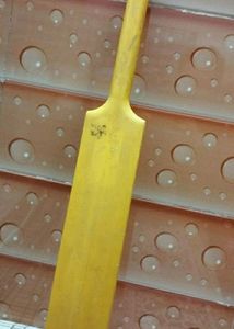 Hard Plastic Bat