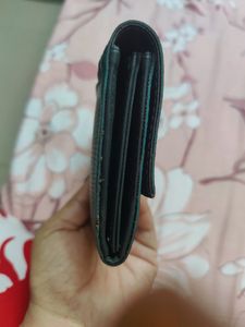 Baggit Wallet Green