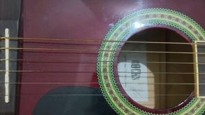 Saraswati Enterprises&#39;s Rocks rt1c rds Acoustic Steel-String Guitar