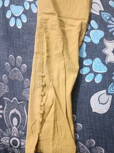 Ladies Pant(Jeggings)