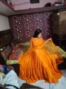 Elegant Ethnic Gown