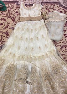 Elegant Lehenga Choli Set