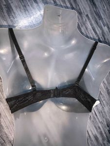 H.M Pedded Bra💚