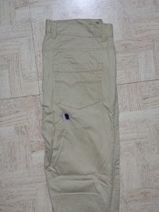 MAX Beige Pant (32)