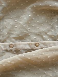 Sheer Button-Down Top