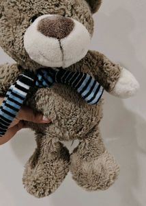 Combo Of Two Teddy&#39;s