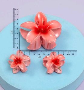 Plumeria Flower Claw Clip (1 Card)