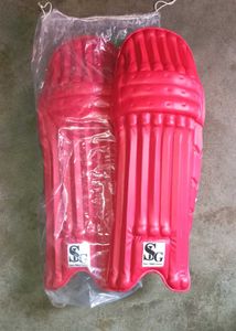 ISG Cricket Batting Leg Guards
