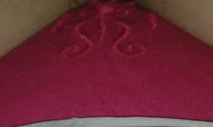 Panty Daily Wear