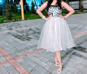 Fully Flared Dress