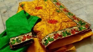 Multi Colour Saree With Blouse Design