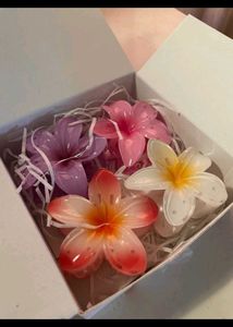 4 Pack Flower Clutcher Hamper