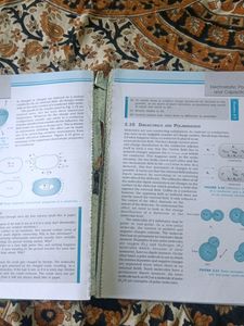 Physics Textbook For Class 12
