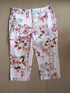 Hot Pant