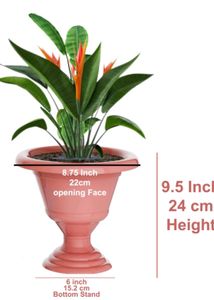 Flower Pots