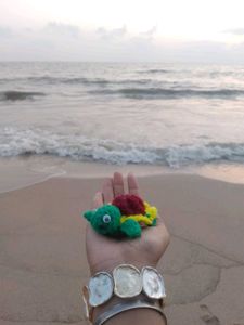 Crochet Turtle