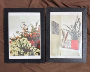 Pinterest Photo Frame Wall Decor