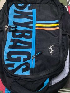 Skybags Backpack