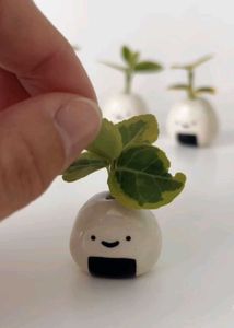 🌸Mini Onigiri Vase 🍘🍚