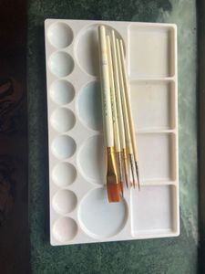 Plastic Paint Palette With Brush Combo