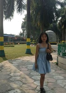Blue Checkered Dress