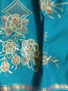 Saree Without Blouse