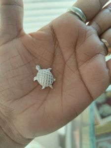 Pure Silver Lizard Nd Tortoise For Laxmi Pooja