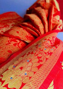 Red &amp; Gold Sari with Embellishments