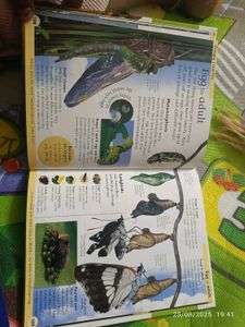 New Animal Encyclopedia