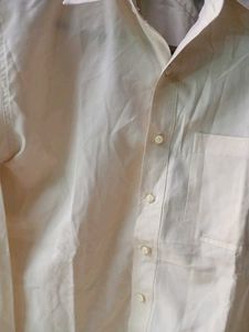 BlueFox Shirt For Men