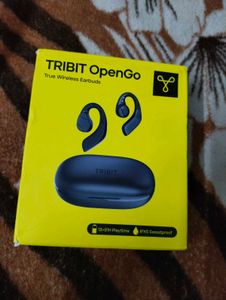 Wireless Earbuds