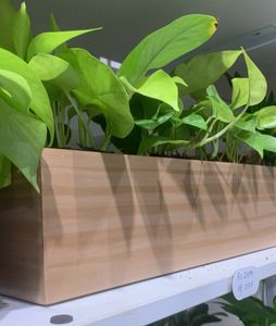 Eco Wood Box Planter