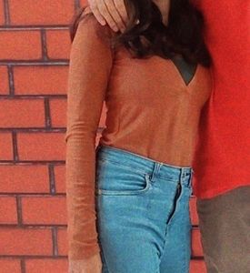 Deep V-Neck Long Sleeve Top