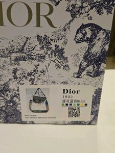 Dior Handbag